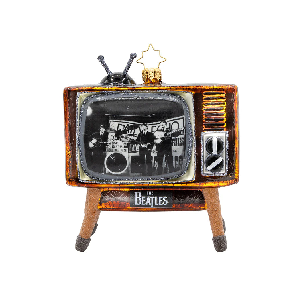Beatles Television Tribute